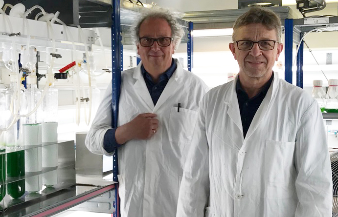 Zu sehen sind die Professoren Klaus Harter und Karl Forchhammer vor einer Bakterienkultur stehend.