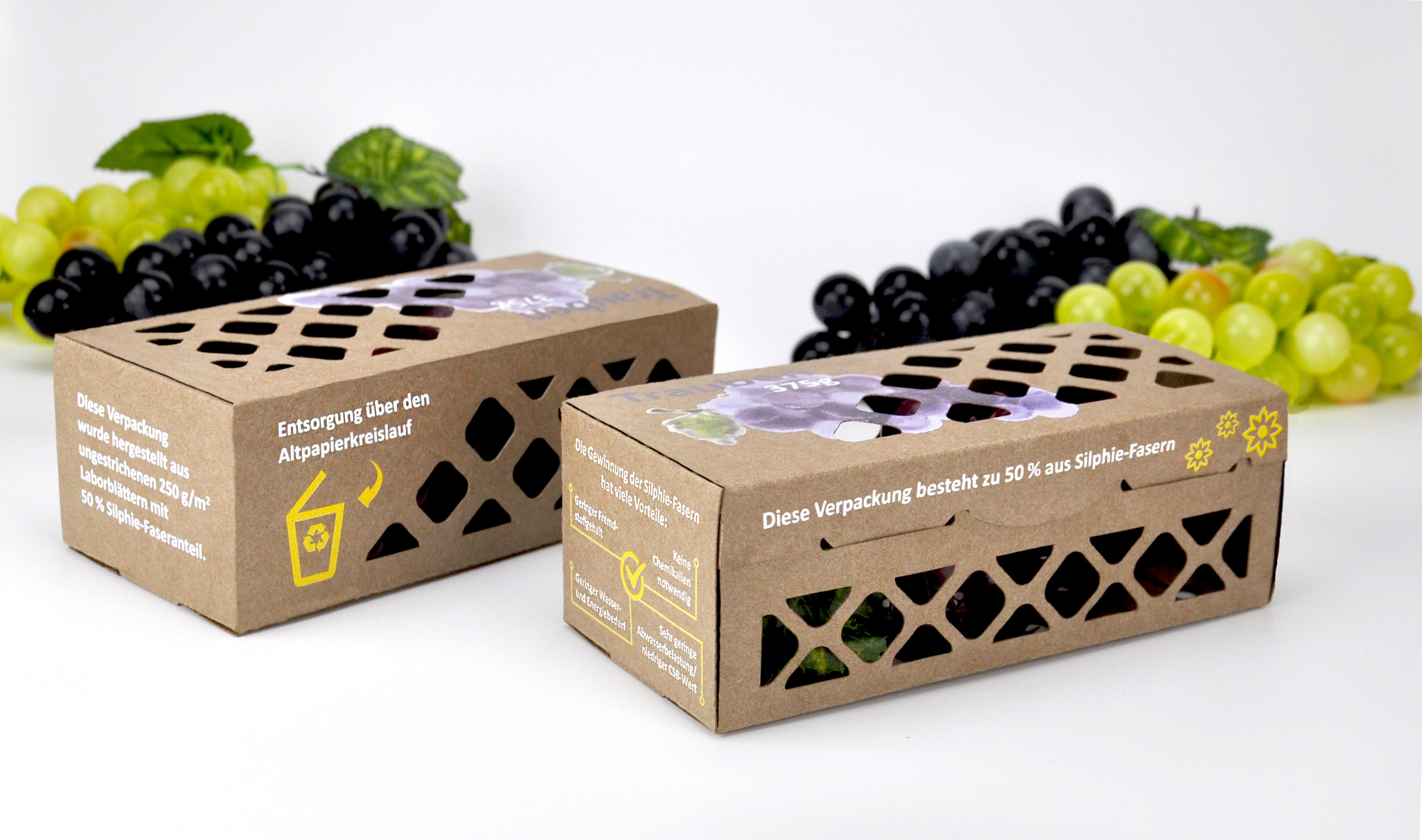 Brown fruit packaging made of paper produced from Silphium fibres