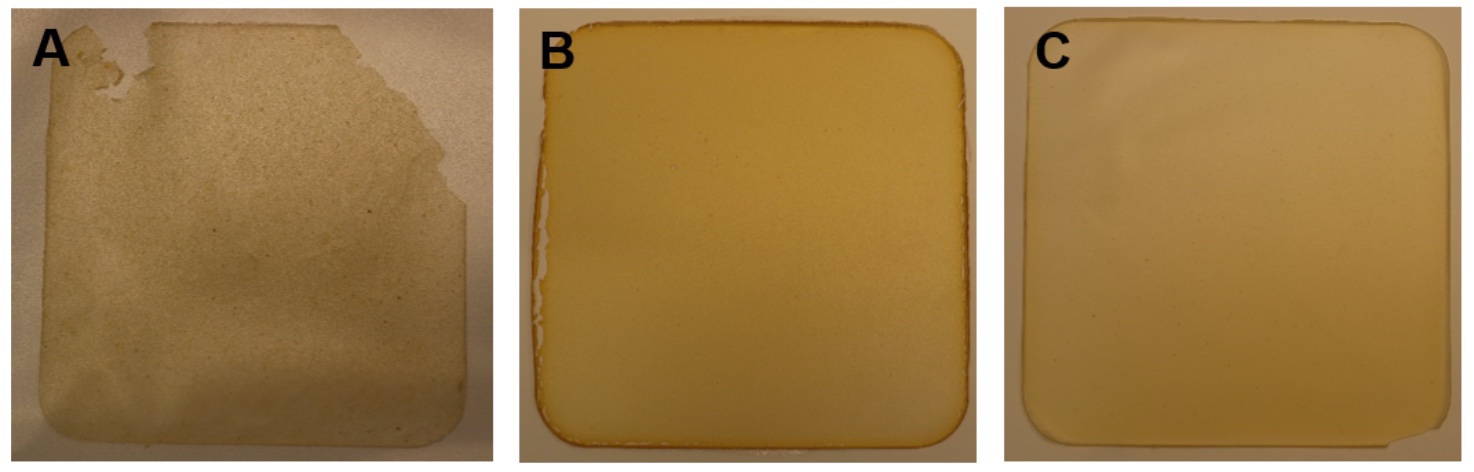 Drei nebeneinander liegende Folienquadrate zeigen Beschichtungen aus mehreren pflanzlichen Quellen: Links eine relativ körnig wirkende Folie aus Ackerbohnenprotein, mittig eine homogener wirkende Folie aus Erbsenprotein und rechts eine ebenfalls homogen wirkende Folie aus Sojabohnenprotein.