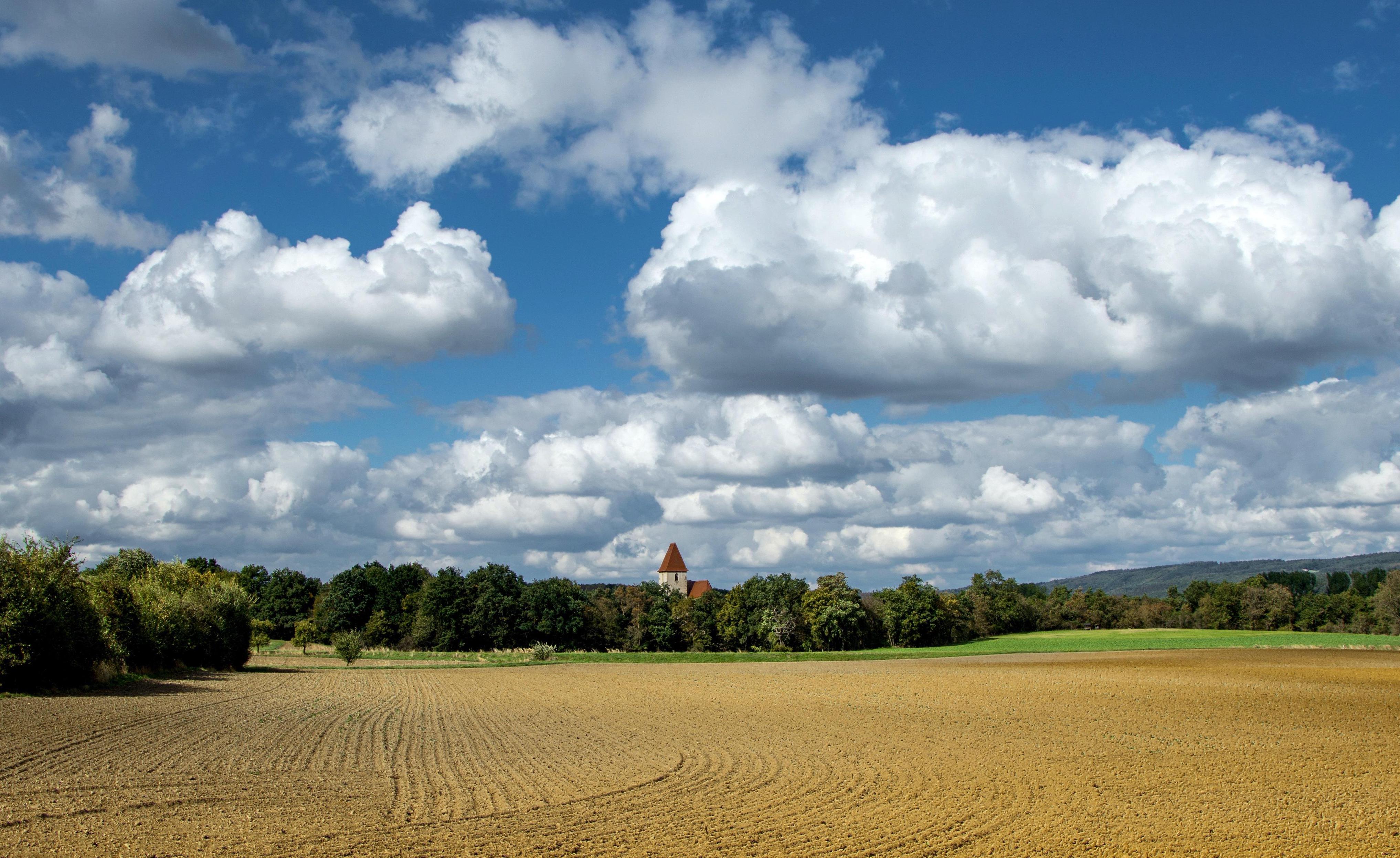 Agrarlandschaft - über die gesamte Bildbreite reichendes Feld vor einer Baumreihe, hinter der sich ein Dorf versteckt, welches nur durch einen Kirchturm angedeutet ist. Im Hintergrund blauer Himmel mit wenigen Wolken.