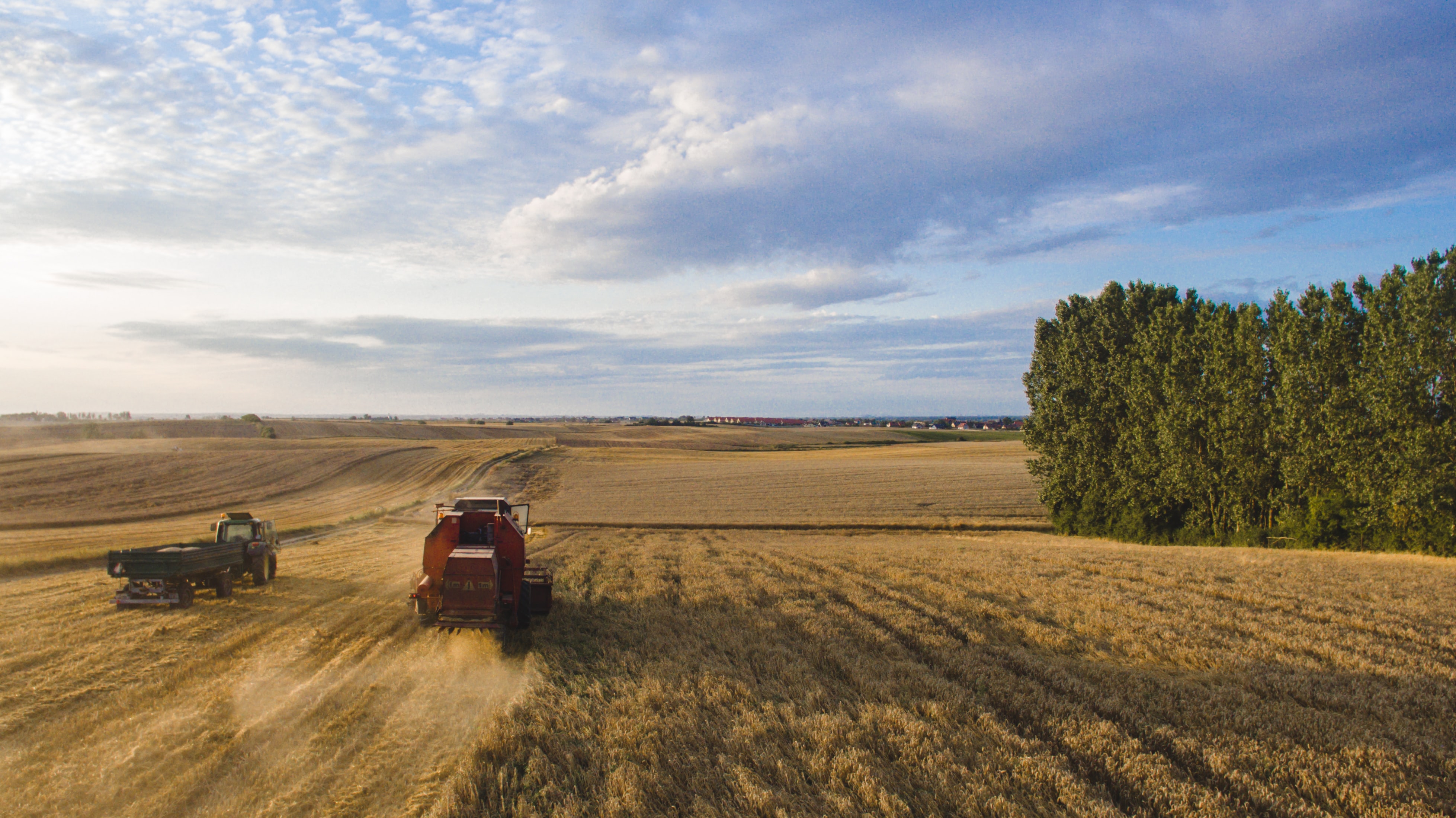 Two tractors in a grain field
