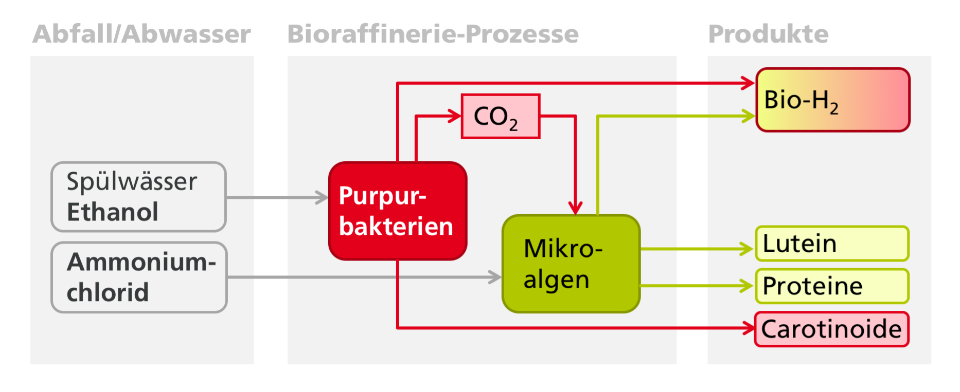 Smart-BioH2-BW-Projekt: process flows