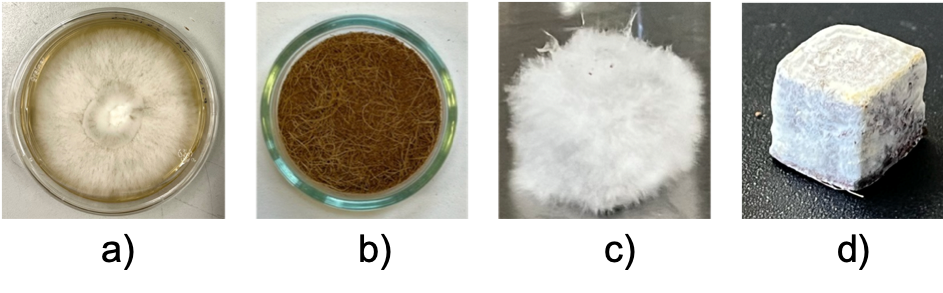 Four pictures starting with white fungus spores and dark brown coconut fibres to a white, first plush, then solid object cube made of fungal mycelium.