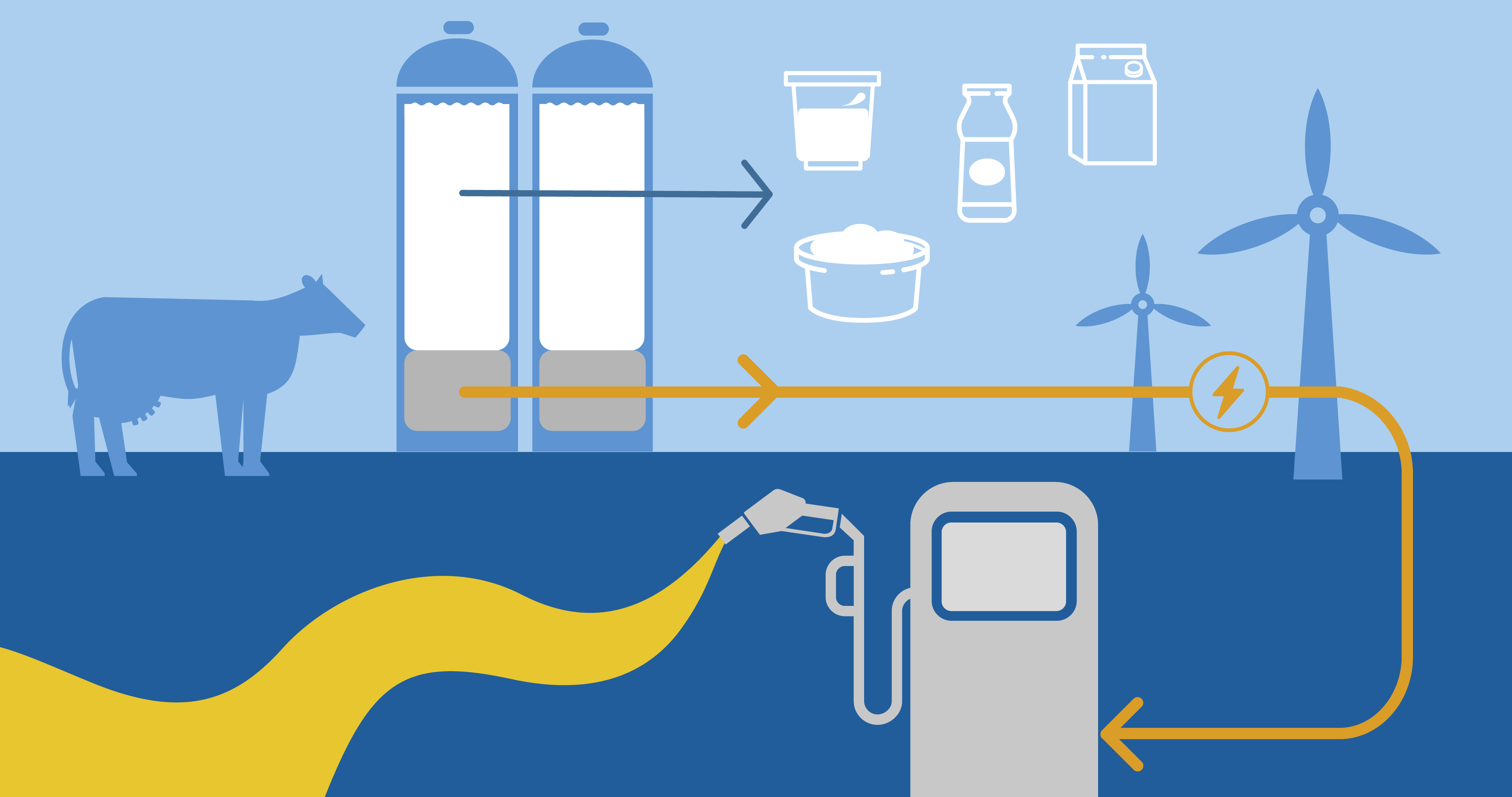 A colourfully drawn overview of the process from cow to petrol station.