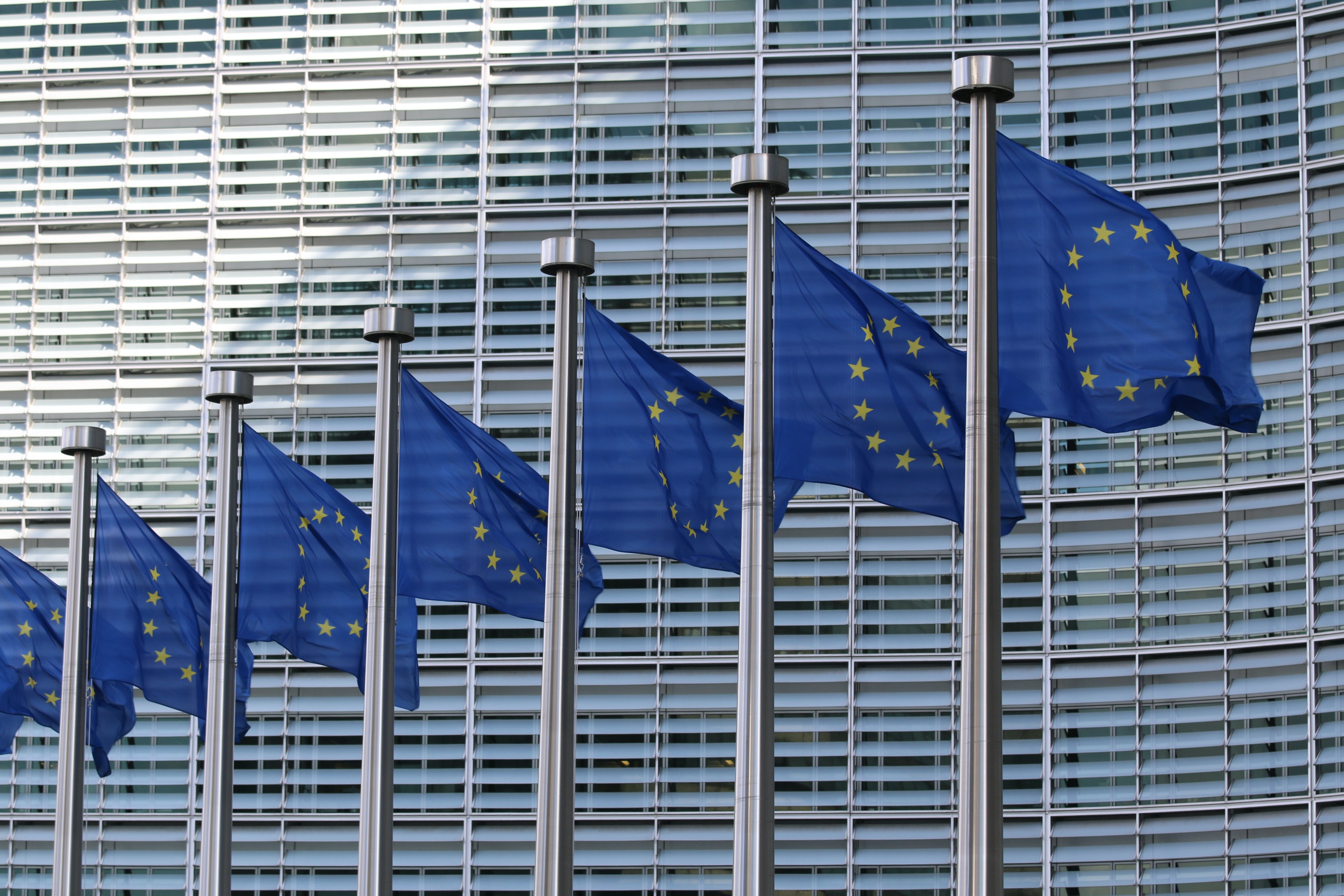 European flags with a building in the background.