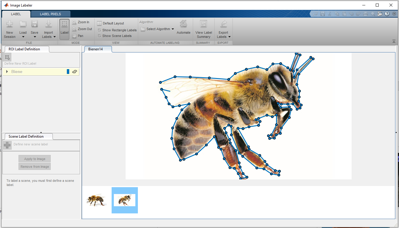 Auf einem Computer-Screenshot ist oben und links im Bild die Navigation zu erkennen. Im Hauptsichtfeld ist eine seitlich aufgenommene Biene in Farbe zu sehen. Ihr Umriss ist mithilfe einer Punkt-zu-Punkt-Linienführung gekennzeichnet.