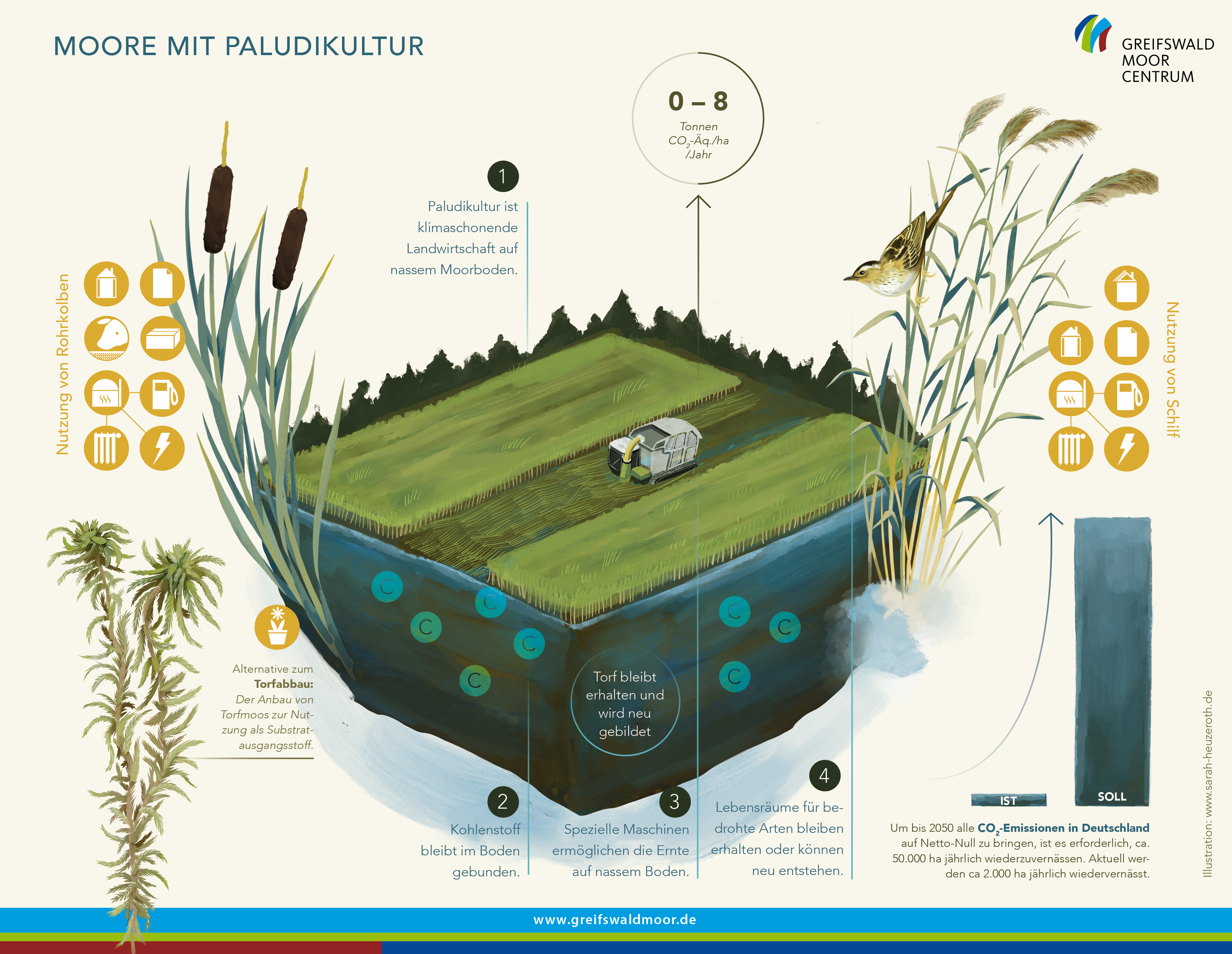 Moorlandschaft mit Erntemaschine auf Gräsern, Moosen und Wasserflächen, Vögel und Gräser im Hintergrund