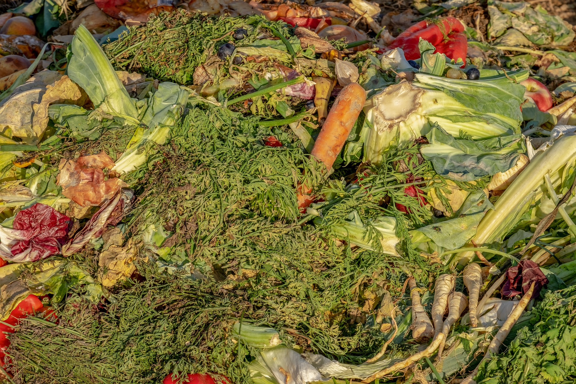 Biological kitchen waste.