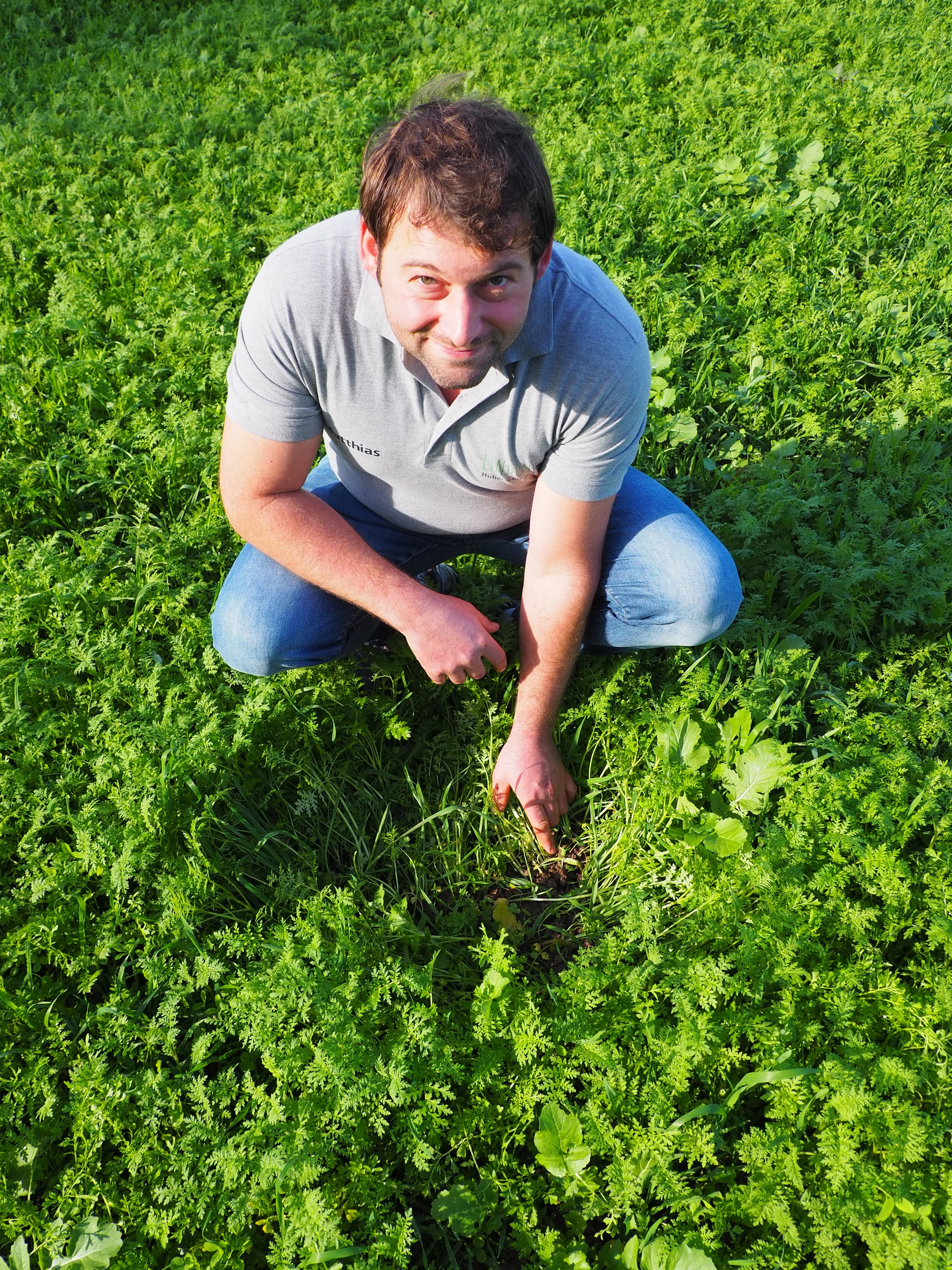 Landwirt kniet am Ackerboden mit üppig wachsenden Grünpflanzen.