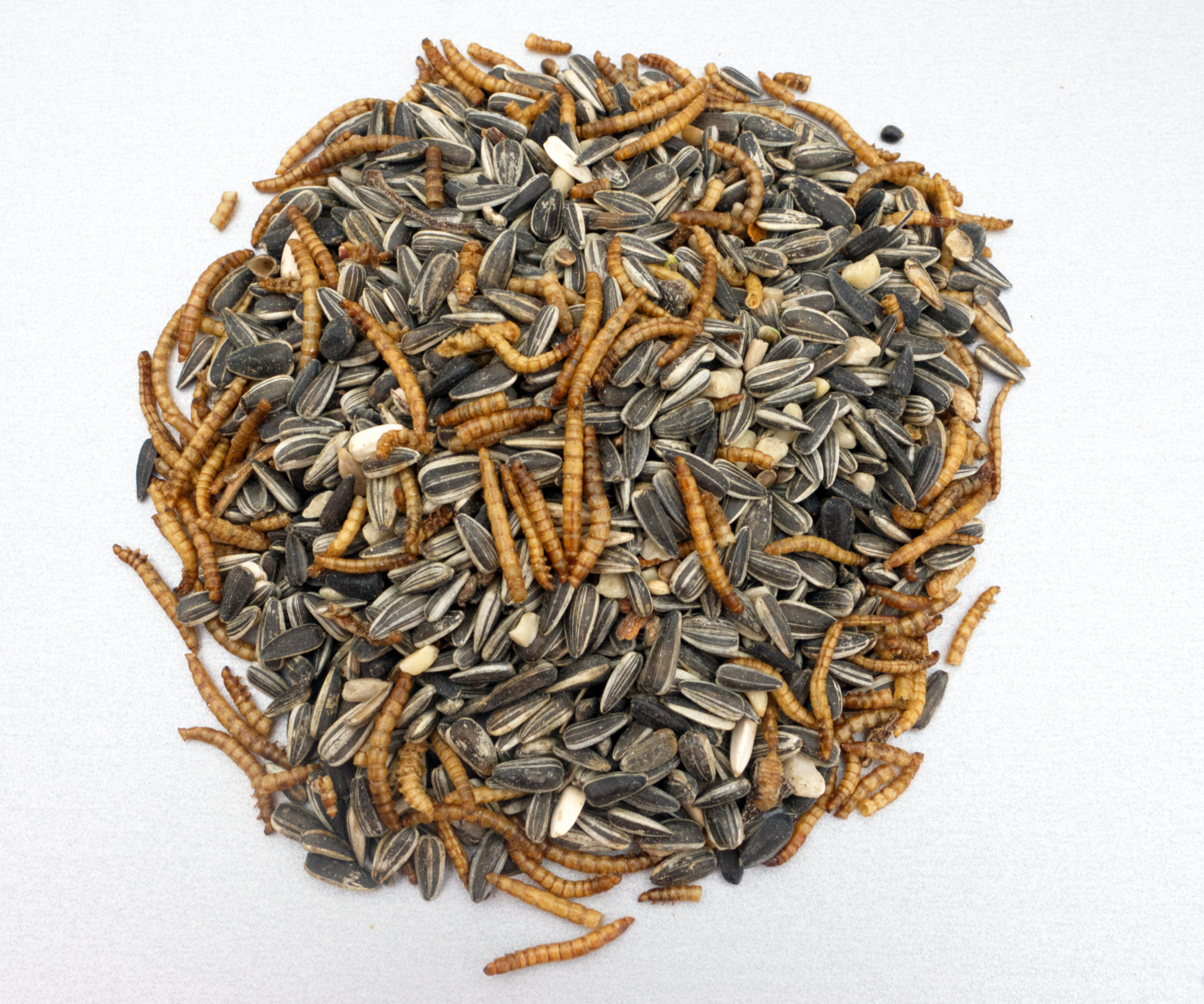 The picture shows a heap of classic garden bird food with sunflower seeds and other seeds - and with whole, dried mealworms.