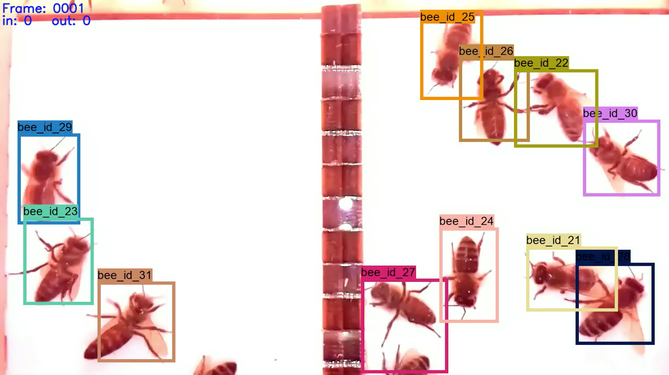 Das Biosensorik-System von apic.ai erkennt die Bienen, ihre Bewegungen und bestimmte Verhaltensmuster mithilfe von Künstlicher Intelligenz.