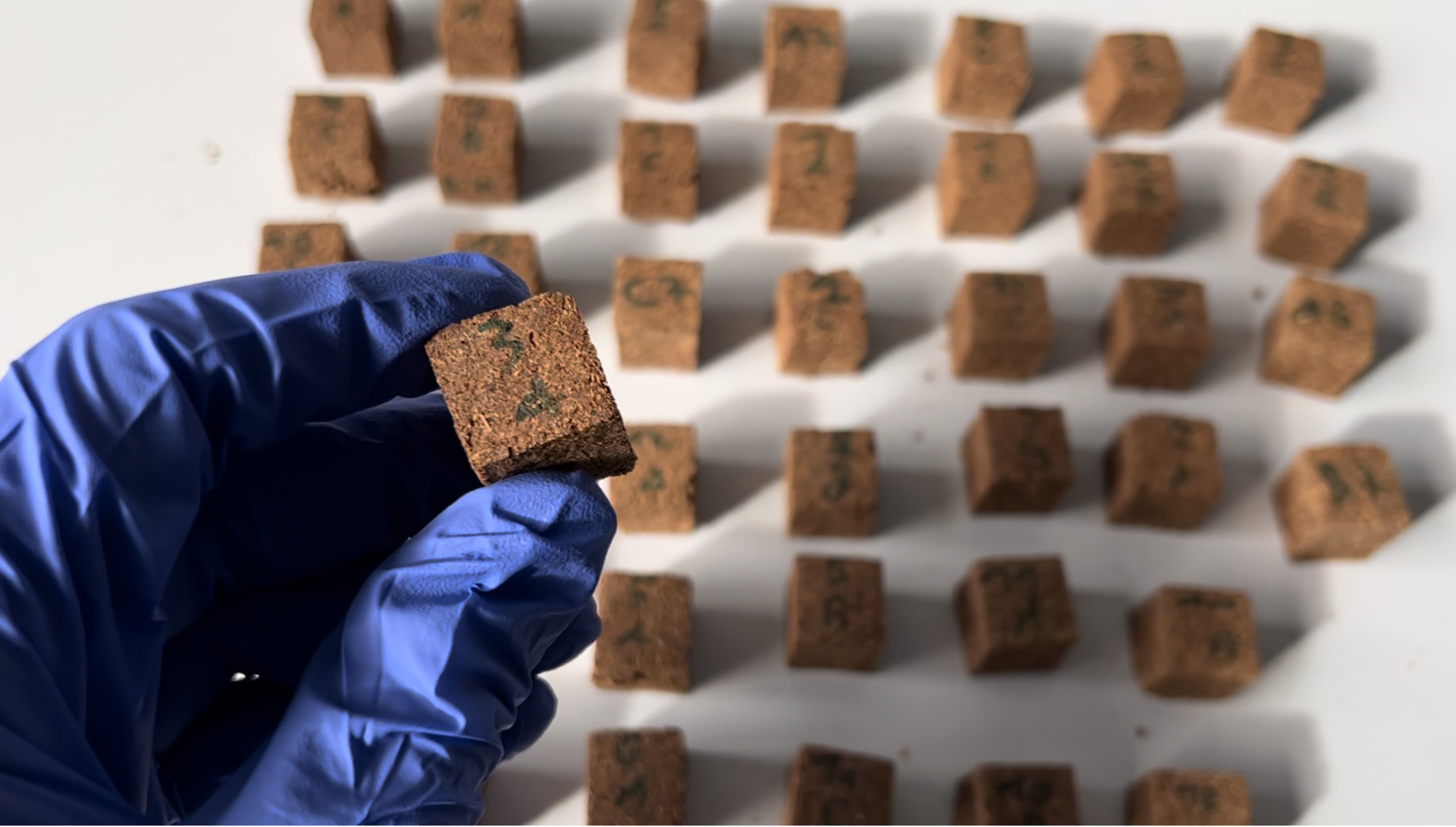 A hand with a blue glove holds a small, brown cube of the material above many other cubes on a white laboratory table.