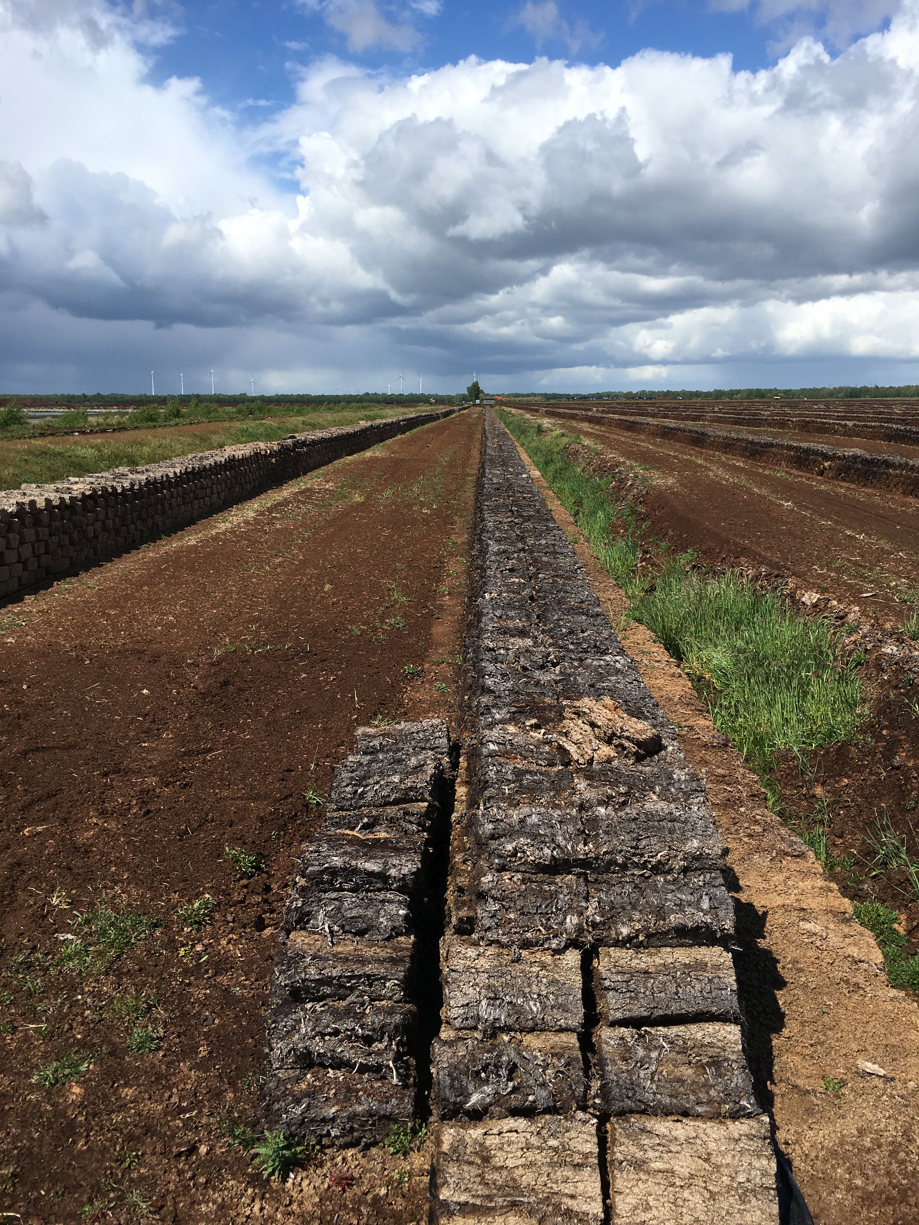 Arable landscape with stacked peat bales