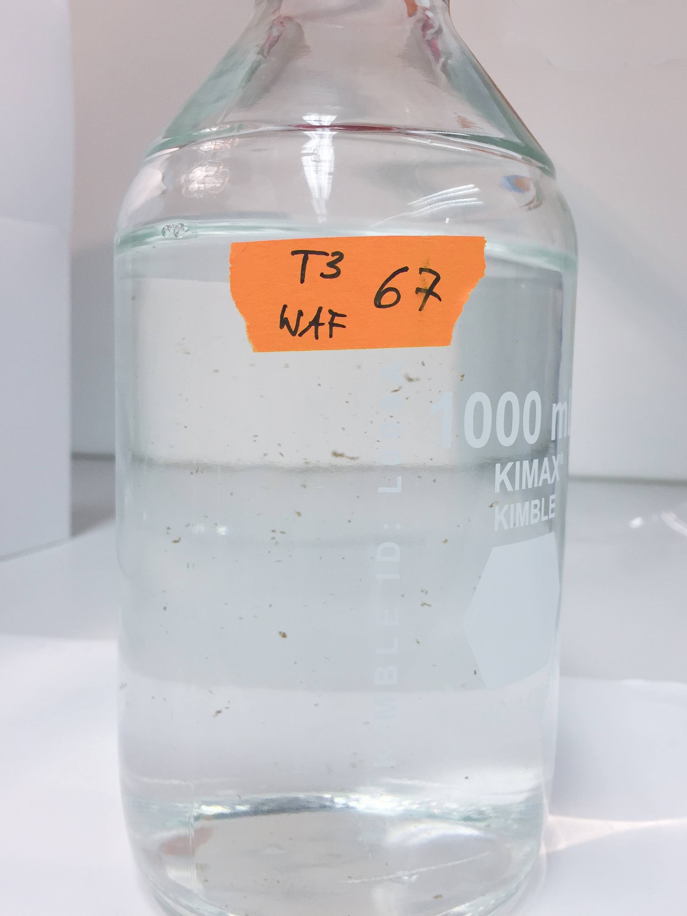 1-Liter-Laborglasflasche mit einer klaren Flüssigkeit, die ein paar kleine, hellbraune Flocken aufzeigt. Die Flasche ist mit einer Nummer und Buchstaben beschriftet.