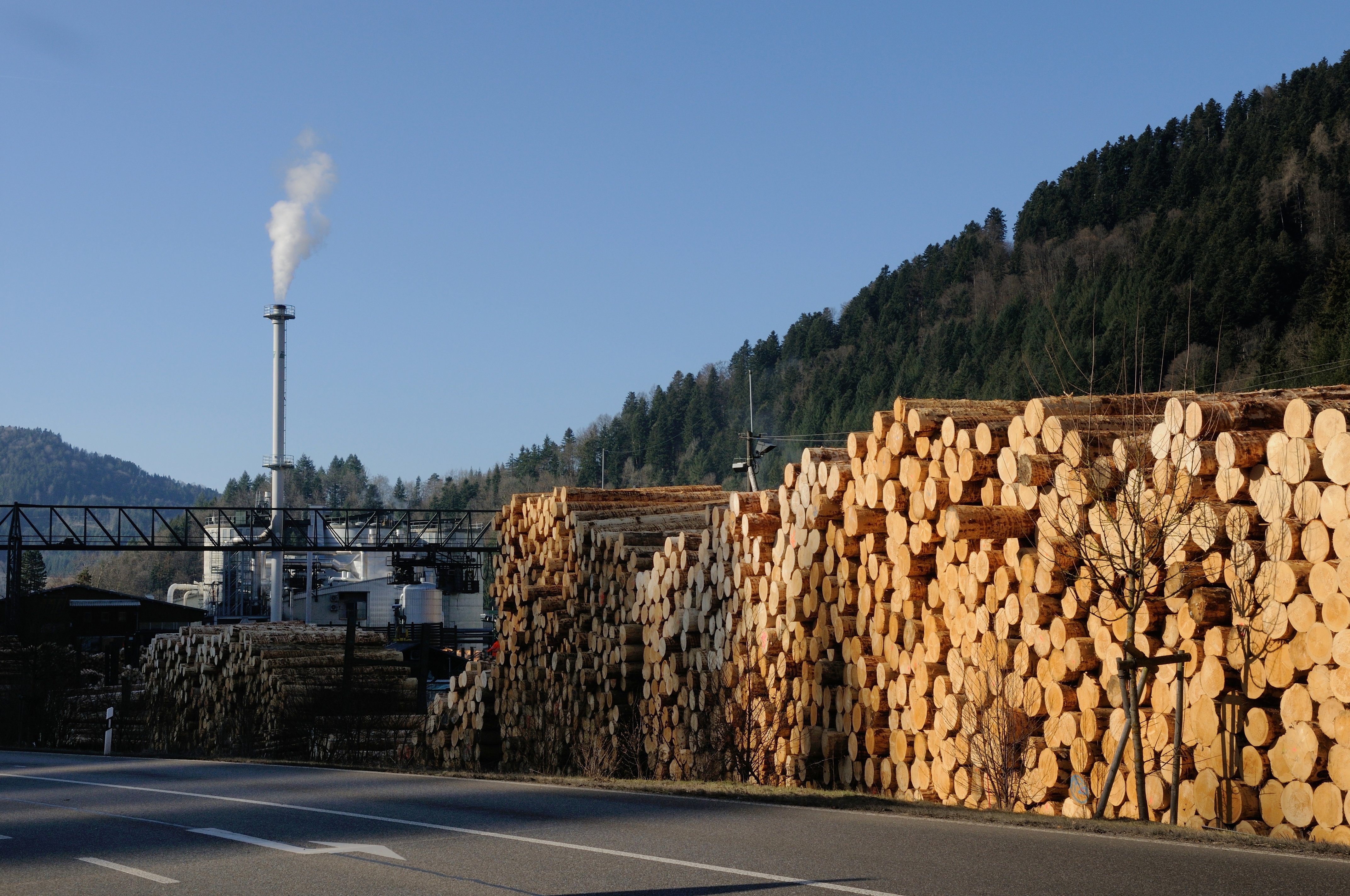 Abgebildet sind Holzstämme, die am Straßenrand liegen. Im Hintergrund befindet sich das Holzwerk in Buchenbach.