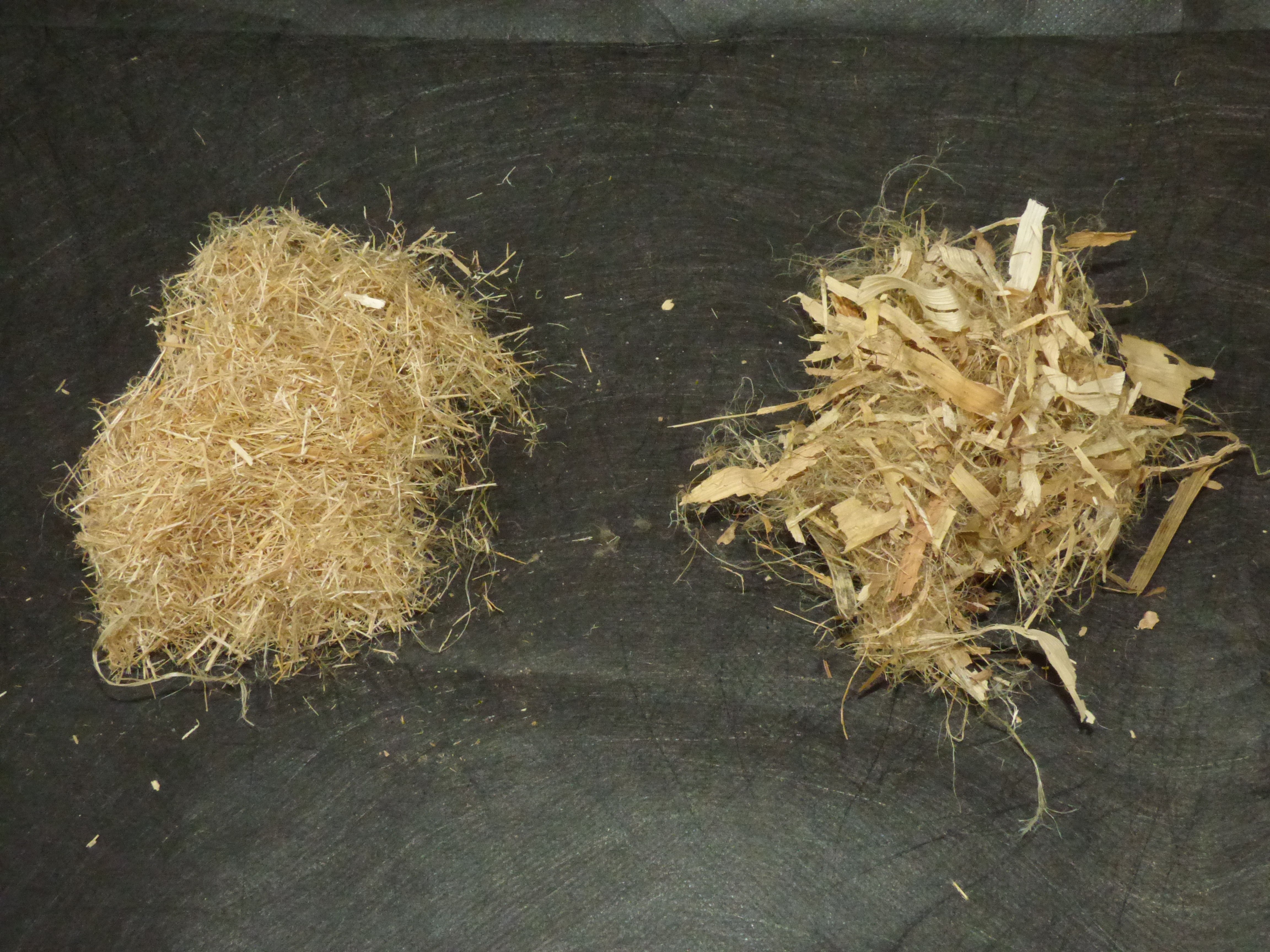 Two small heaps of straw-like yellow fibres