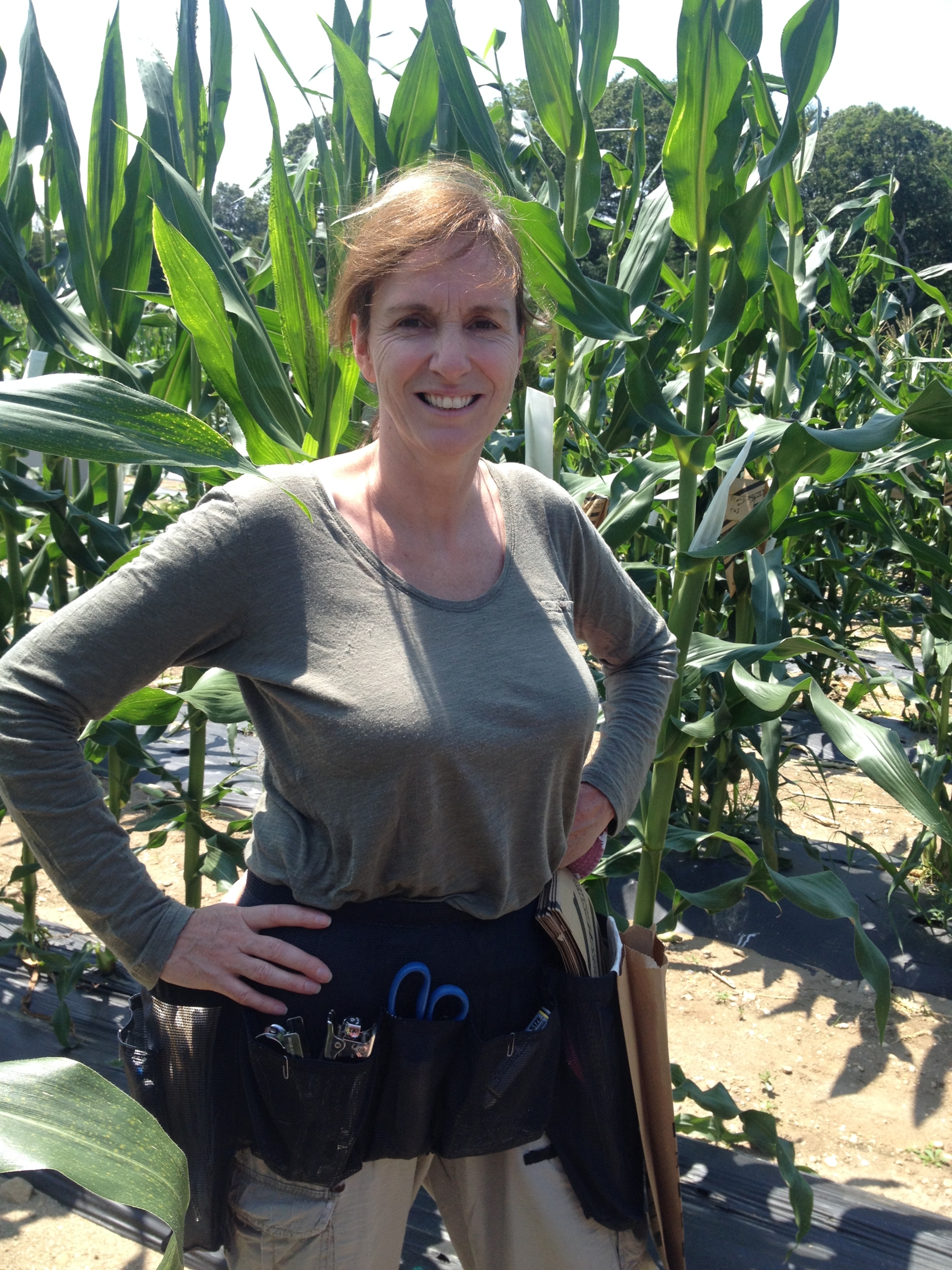 Foto von Prof. Dr. Marja Timmermans in einem Maisfeld.