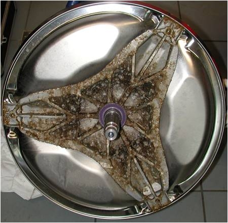 The photo shows biofilm traces in a washing machine.