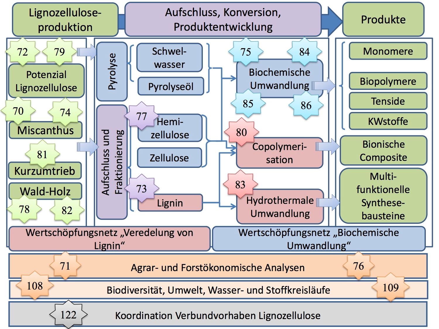 Grafische Darstellung des Forschungsverbundes Lignocellulose