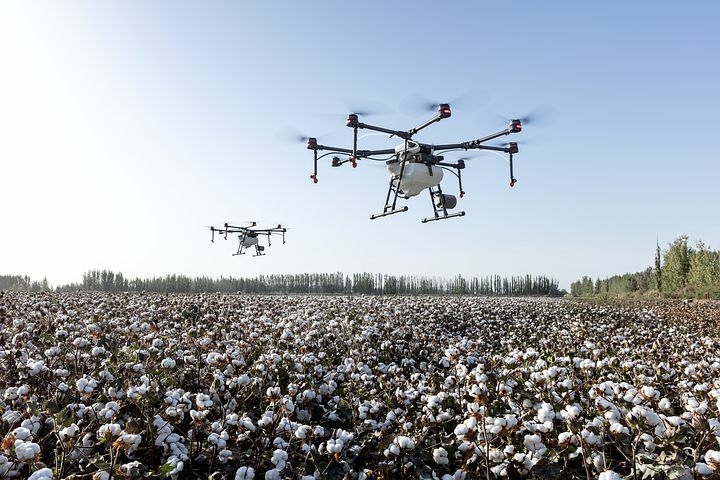 Das Bild zeigt ein Baumwollfeld, über dem mehrere Drohnen kreisen. Symbolbild für einen technokratischen Entwurf einer industrialisierten Landwirtschaft, die sich Digitalisierung und Hightech zu eigen macht.