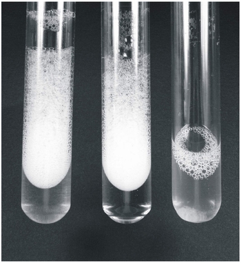 Die Abbildung zeigt die Entwicklung von Parvibaculum lavamentivorans, wobei in den einzelnen Röhrchen eine unterschiedliche Konzentration an Glas und Polyester vorhanden ist.