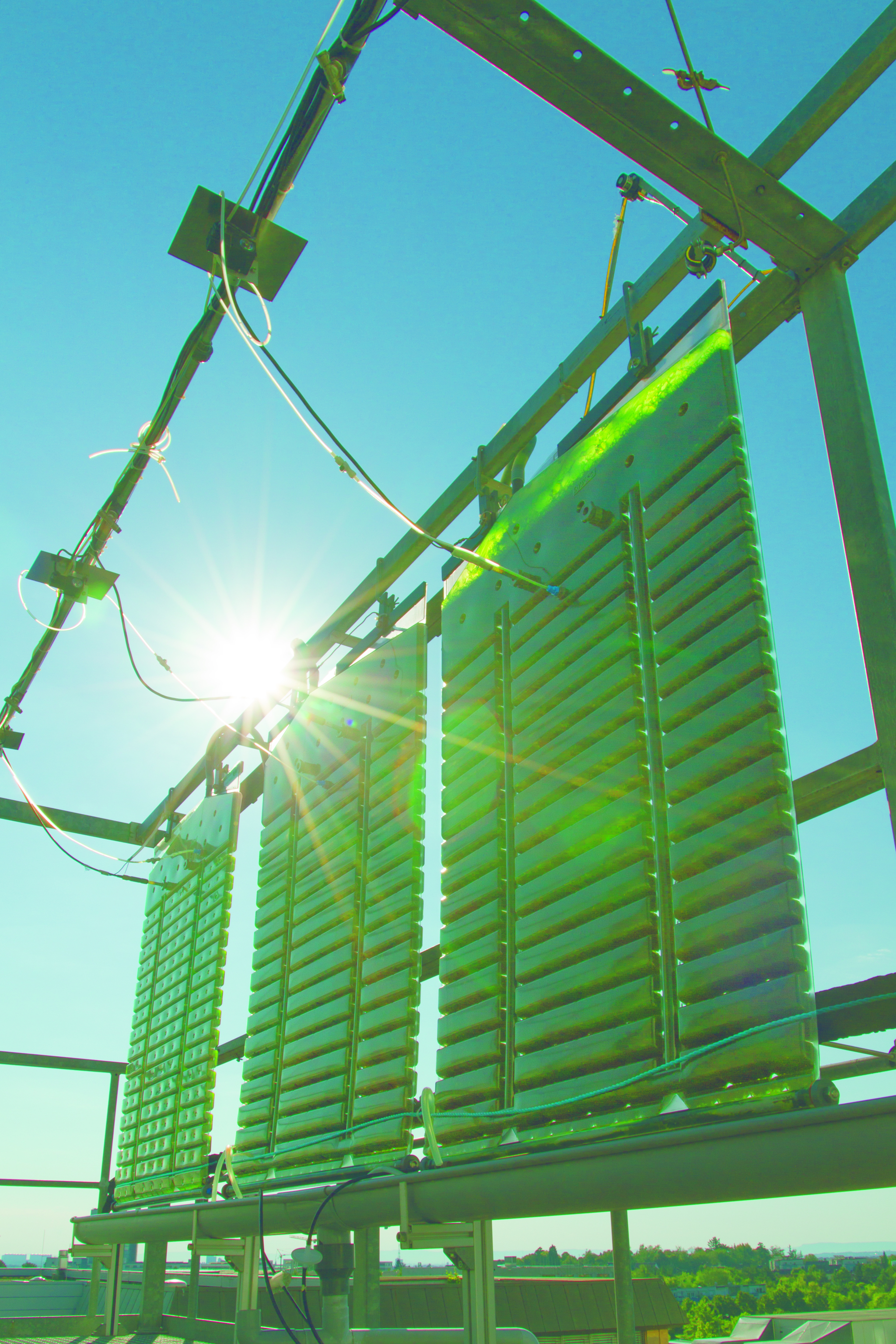 Photobioreactor pilot plant developed by the Fraunhofer IGB that enables the optimal distribution of light and mixture of the algal biomass.
