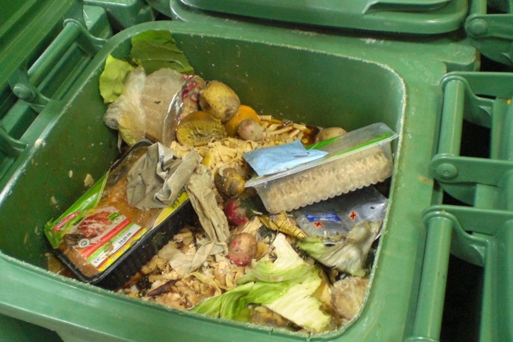 Zu sehen ist eine mit Abfall gefülle Mülltonne. Der Abfall wird in Biogasanlagen von Bakterien zu Methan vergoren.