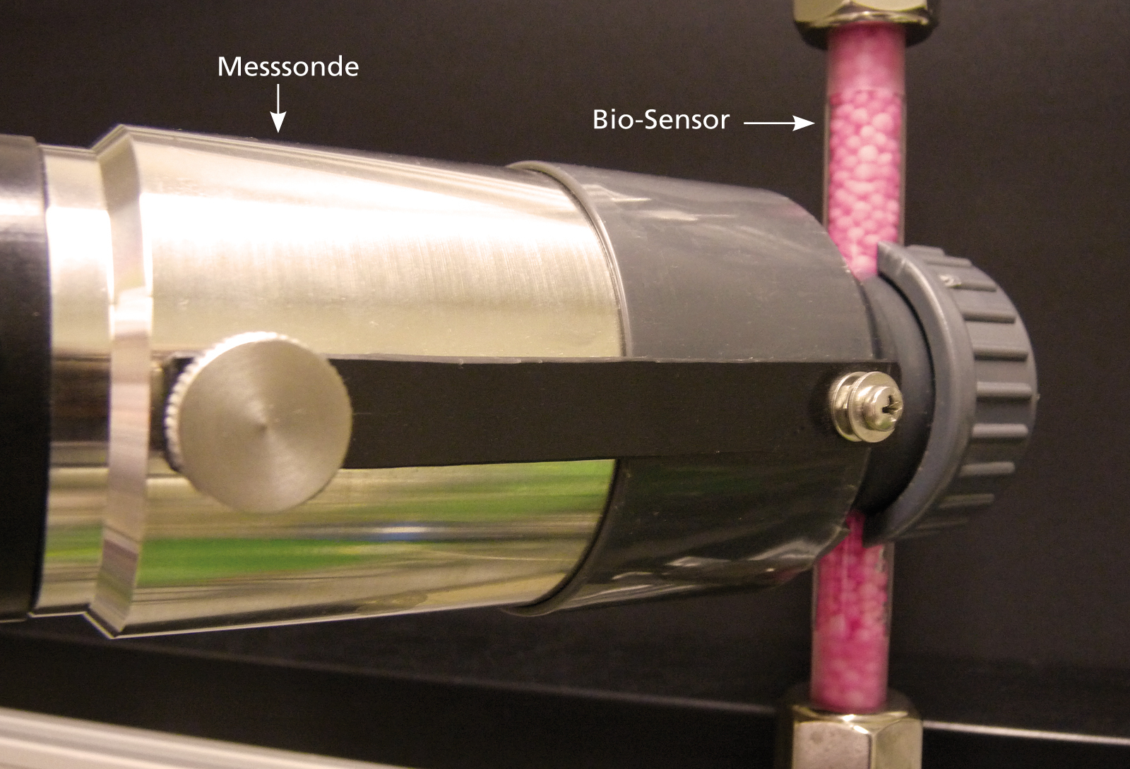 Das Bild zeigt in Großaufnahme einen transparenten Schlauch mit rosaroten Kügelchen, auf denen sich die Bakterien und Säugerzellen - also die Biosensoren - befinden; sowie ein Metallstück, in dem die Metallsonde untergebracht ist.