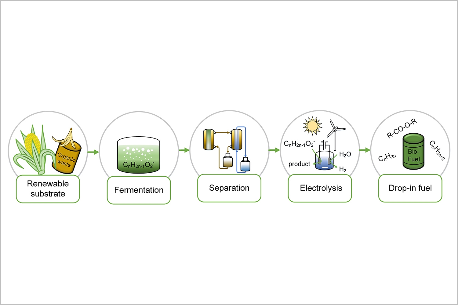Der bioelektrische Weg von der Biomasse zum Diesel: Prozessablauf des von der Arbeitsgruppe um Falk Harnisch am UFZ Leipzig entwickelten und patentierten Verfahrens. Kraftstoffe aus Biomüll, Grünschnitt und anderem organischen Abfall können als Speicher f