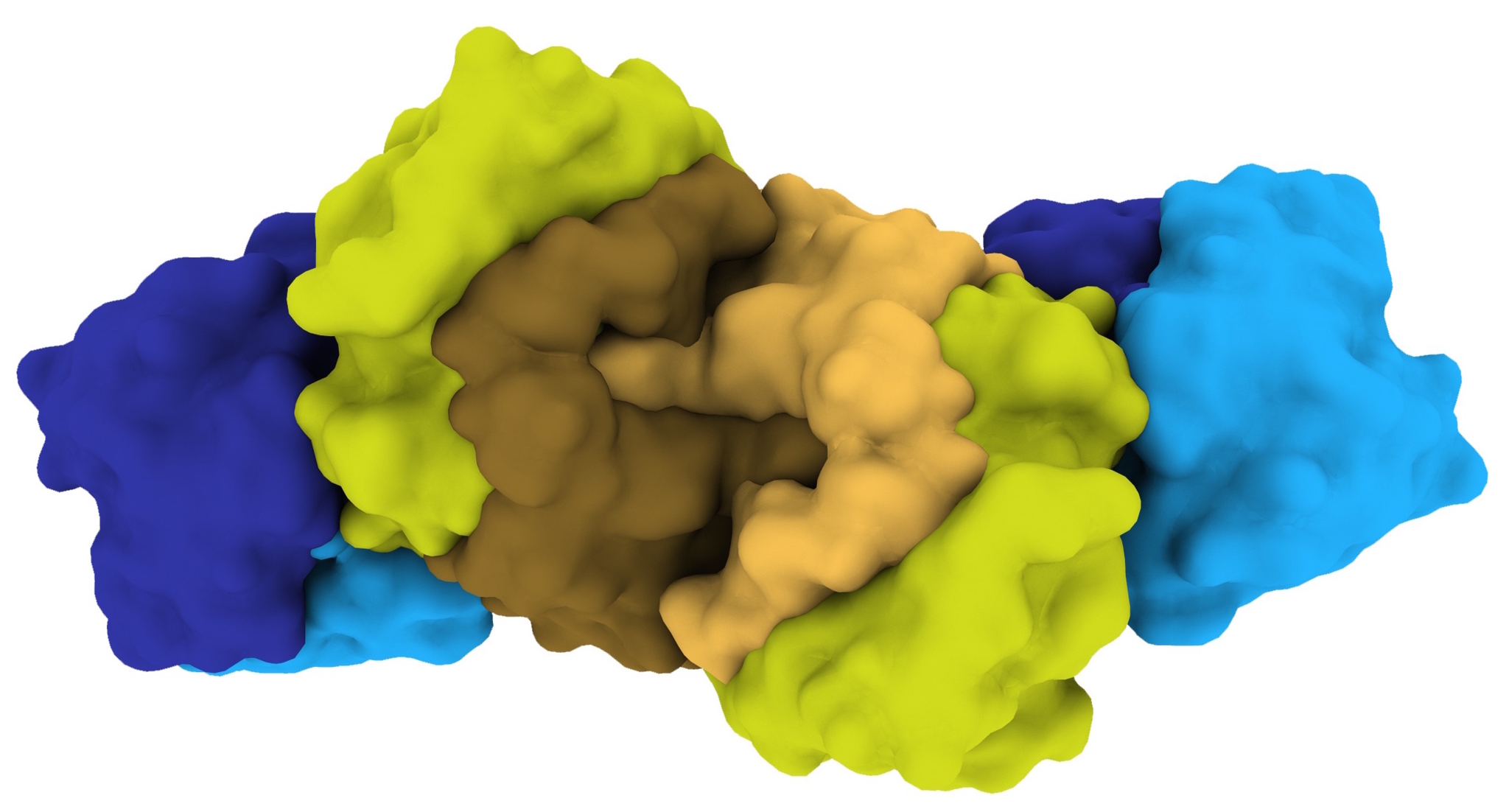 The figure shows a three-dimensional surface model of the nitrogenase model.