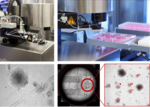 The two photos at the top show the devices used for the automated picking of cells. The photos at the bottom are b/w microscope images used for the optical monitoring process. The images show cells that  the system has automatically labelled red.
