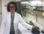 Die Biologin im Labor mit Algen in Glasflaschen