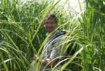 Foto von Dr. Ludger Eltrop in einem Zuckerrohrfeld.