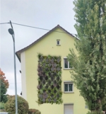 Foto eines gelb-grünen Hauses mit einer vertikalen Klima-Kläranlage, viele grüne Pflanzen enthaltend, an der Hauswand