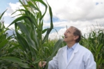 Prof. Dr. Melchinger steht vor einem Maisfeld