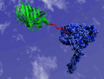 virtual molecular structure