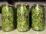 Three preserving jars containing grass.