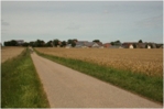 Zu sehen ist ein Feldweg mit zwei flankierenden Grünstreifen.
