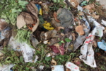 Biowaste that is disposed of in green binds consists of kitchen waste and a huge amount of paper