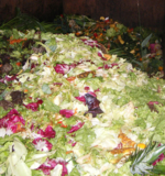 The photo shows supermarket waste such as salad, fruit and vegetables.<br />