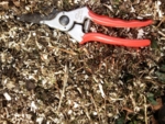 Photo of a pair of hedge clippers lying next to plant residues.